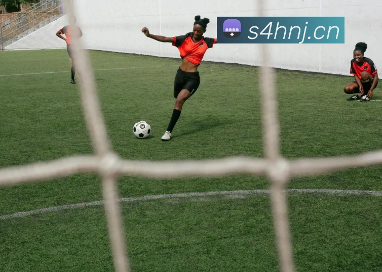 hth网站登录入口发展历程